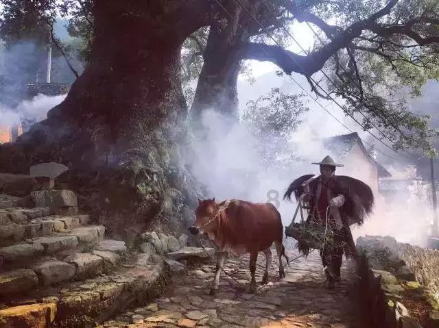 组装机械警暴龙2